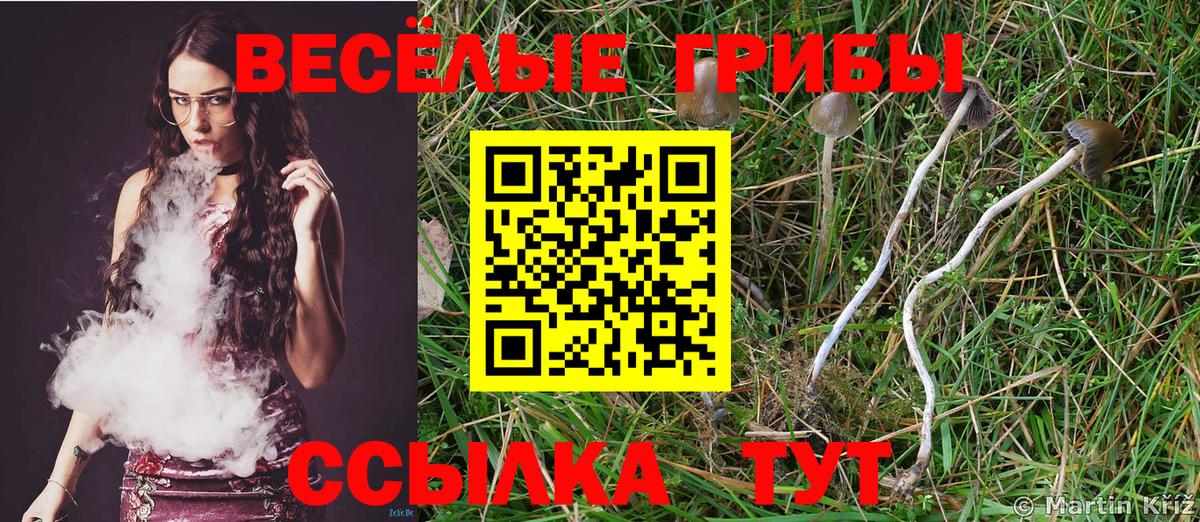 Галлюциногенные грибы MAGIC MUSHROOMS  Псилоцибиновые грибы MAGIC MUSHROOMS  Соликамск  Вход с VPN 